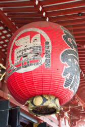 EURORUGBY au Japon (octobre 2019)-124