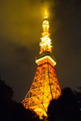 EURORUGBY au Japon (octobre 2019)-161