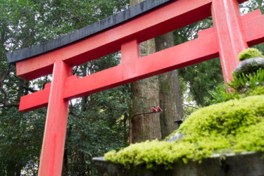 EURORUGBY au Japon (octobre 2019)-186