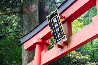 EURORUGBY au Japon (octobre 2019)-199