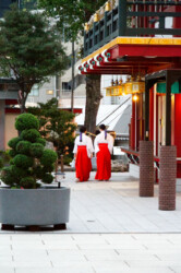 EURORUGBY au Japon (octobre 2019)-206