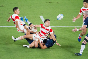 EURORUGBY au Japon (octobre 2019)-97